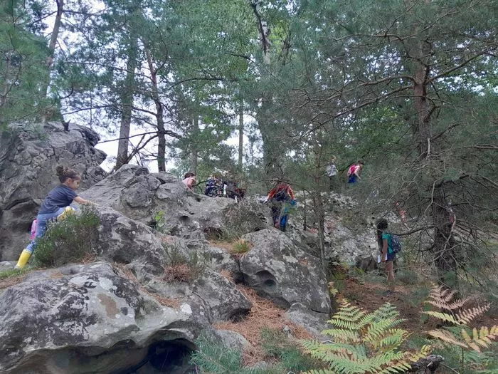 Bois de l'Epars