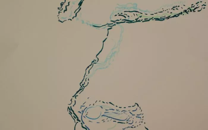 Dessin vital : exposition