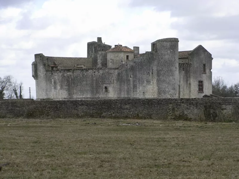 Chateau St Jean d'Angle 001