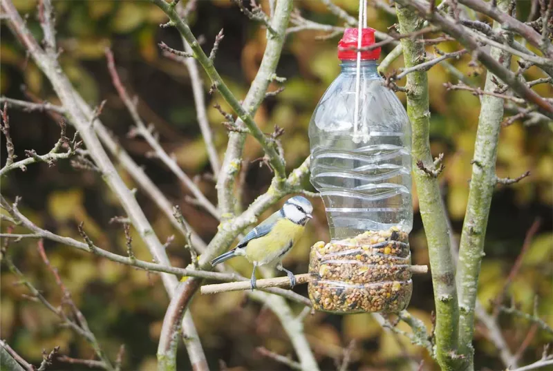 Atelier Parent-Enfant, Nourrir les oiseaux en hiver