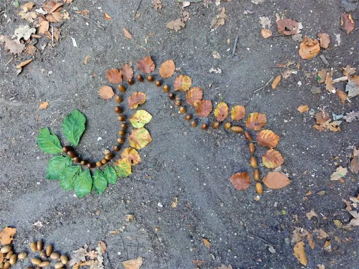Balade créative en forêt