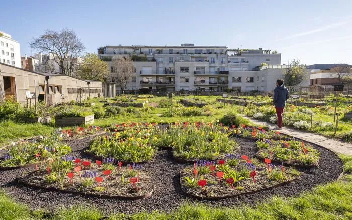 Les activités du Paysan Urbain Paris : le Programme de Novembre 2026
