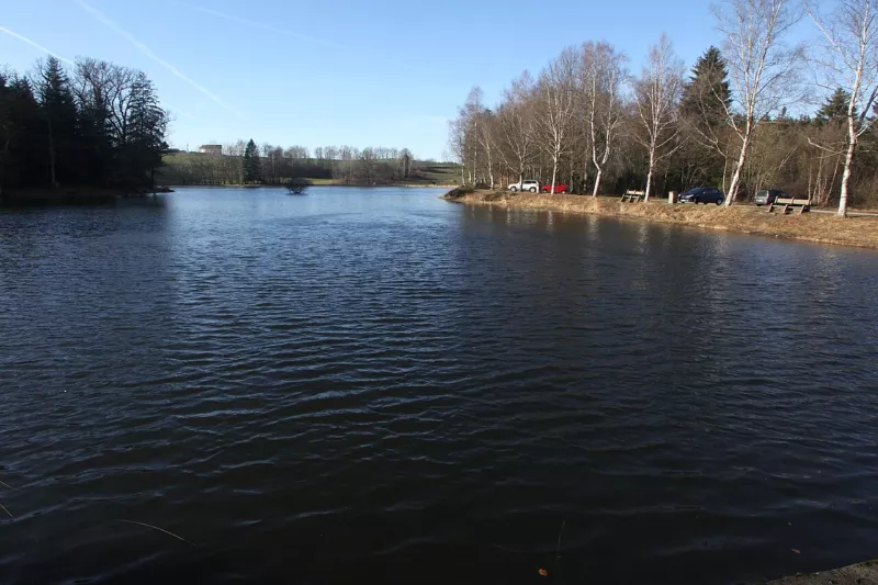 Etang de la Demoiselle - img 41396