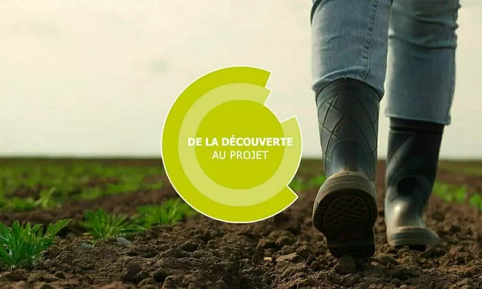 De la découverte au projet - Elevage bovin lait - Carquefou (44)