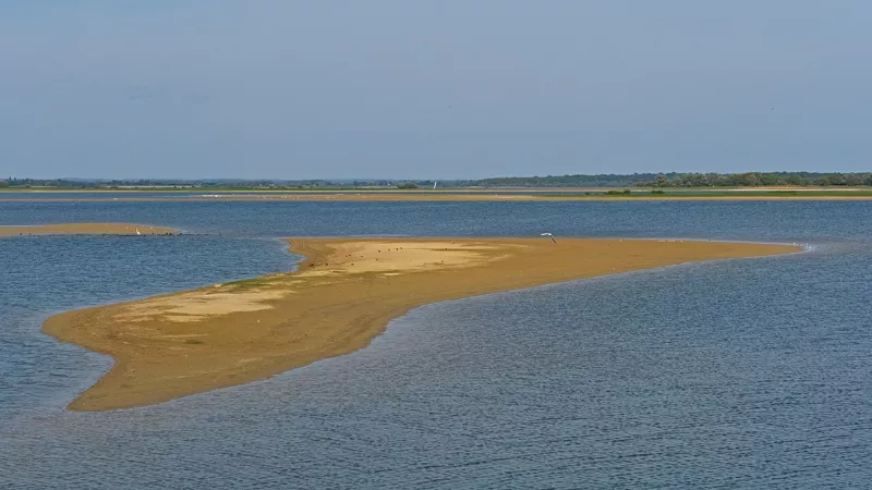 2018.09.10.-02-Giffaumont-Champaubert--Lac du Der Chantecoq