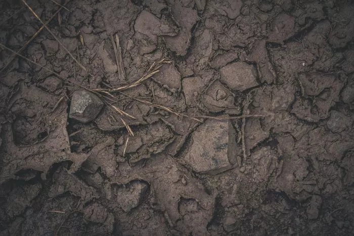 Atelier de découverte de la nature : sous la surface