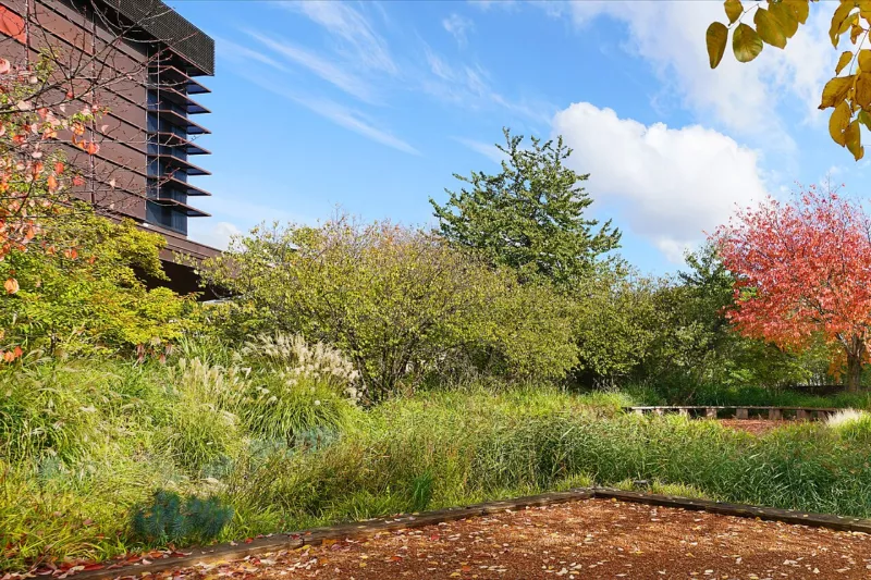 Musée du quai Branly