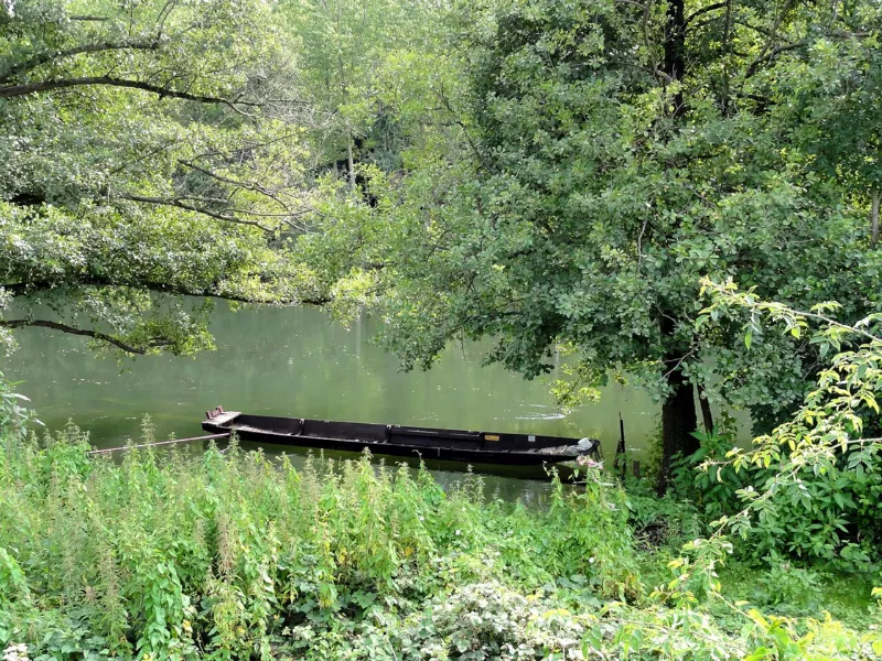 Ostwald03