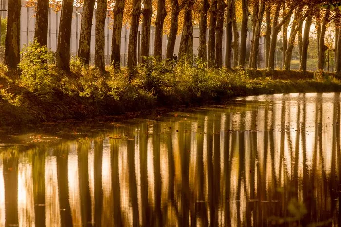 Perspectives au fil de l'eau : le Canal du Midi