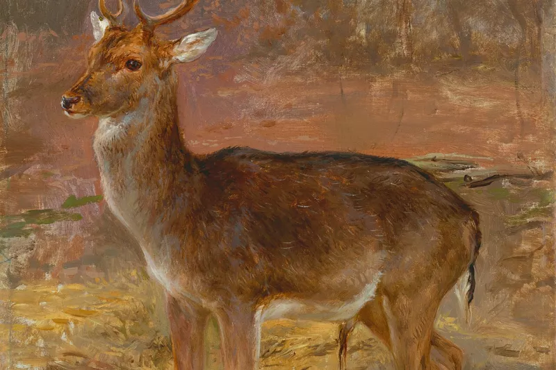 Cerf - Rosa Bonheur