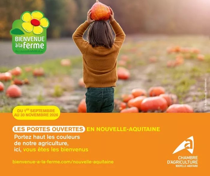 Automne à La Ferme
