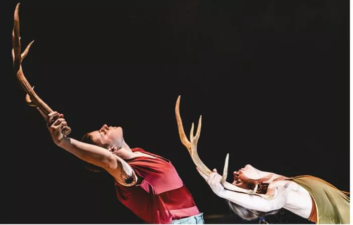 Visites performées : Mue