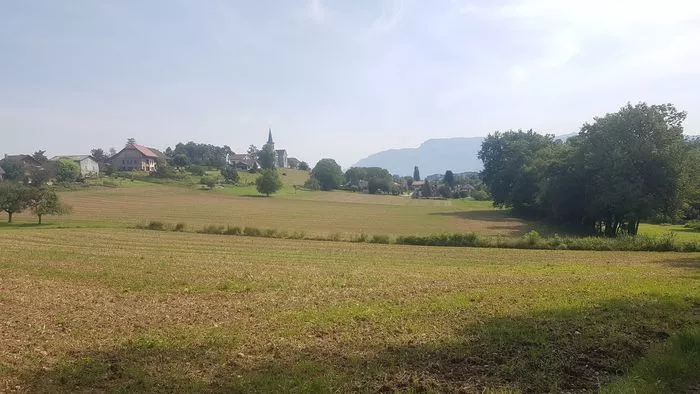 Balade à la découverte des plantes sauvages et autres petites merveilles du vivant à Chavanod (2h)