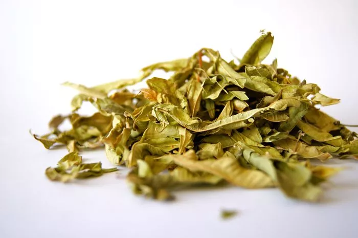 Atelier zéro déchet - composer sa tisane