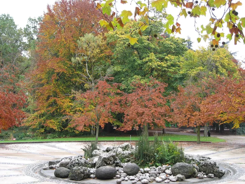 Parc Floral de Paris
