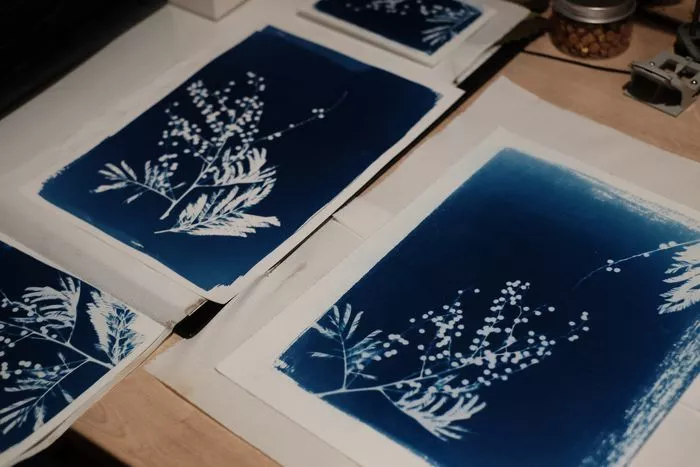Atelier cyanotype
