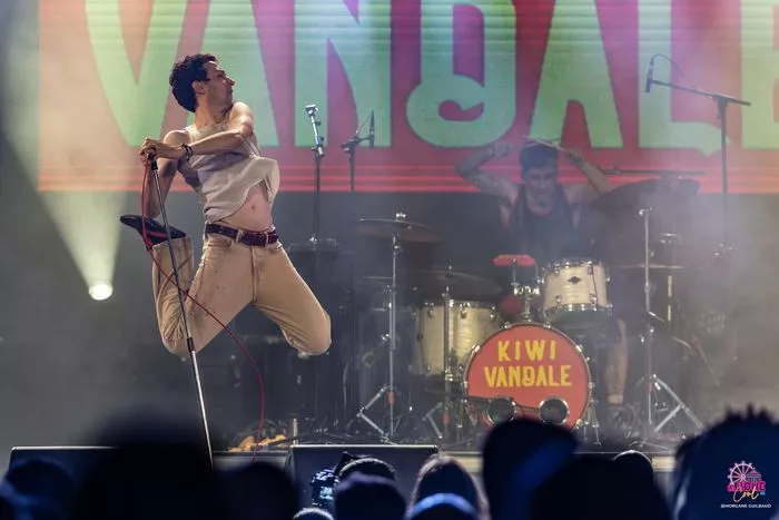 KIWI VANDALE