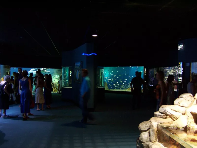 Aquarium de La Rochelle - Bassins 002
