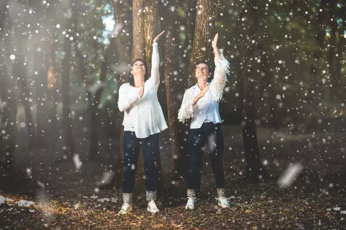 Premières Neiges