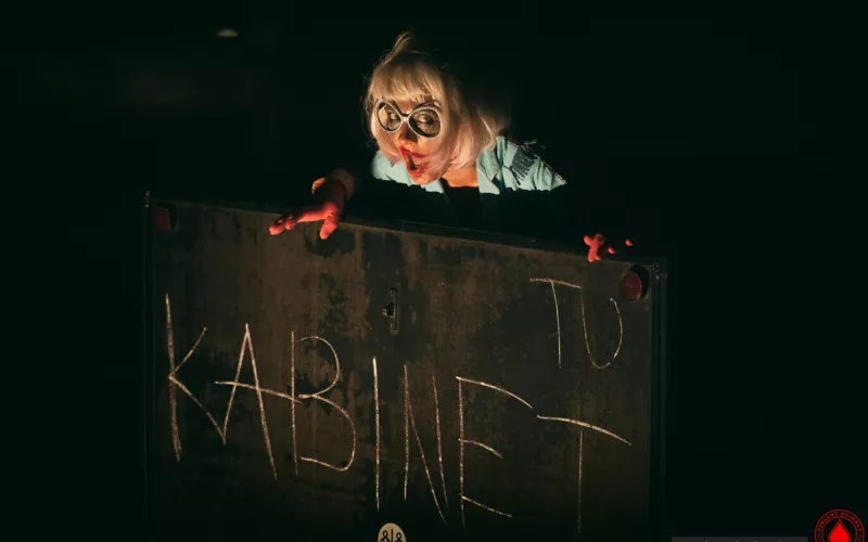 Séance de psychanalyse clownesque et collective