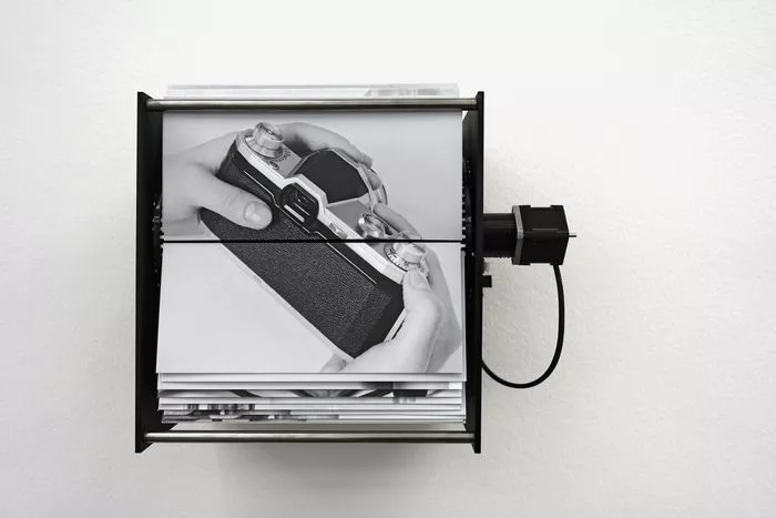 Exposition monographique d'Isabelle Le Minh, A Rose is a Rose is the Last Rose of Summer