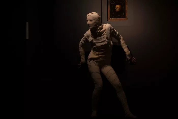 La nuit des ombres