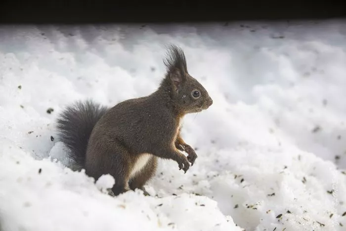 La nature se prépare à l’hiver