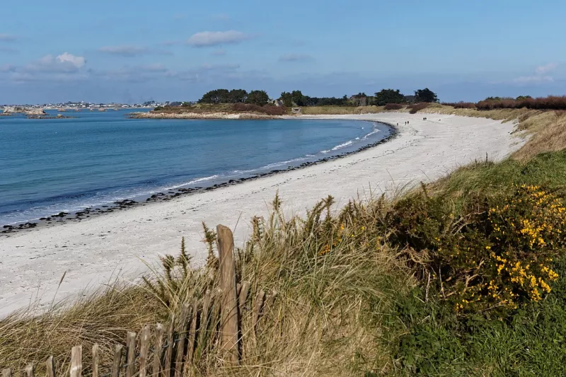 Roscoff - Santec - Pointe de Perharidy - 003