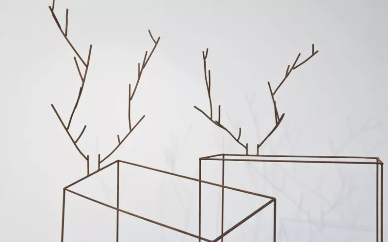 Découvrez l'exposition « Éloge du trait » dans la collection agnès b.
