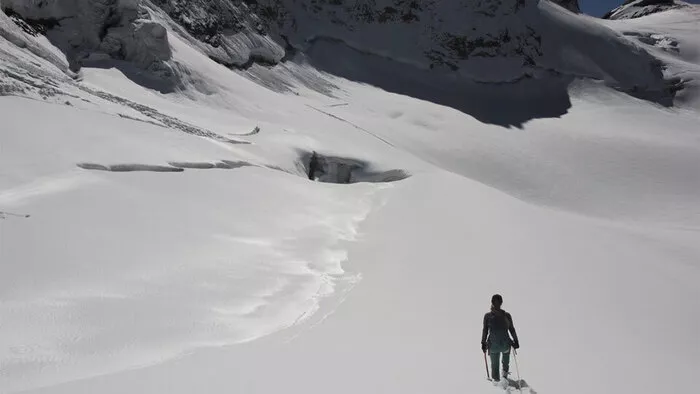 MELT