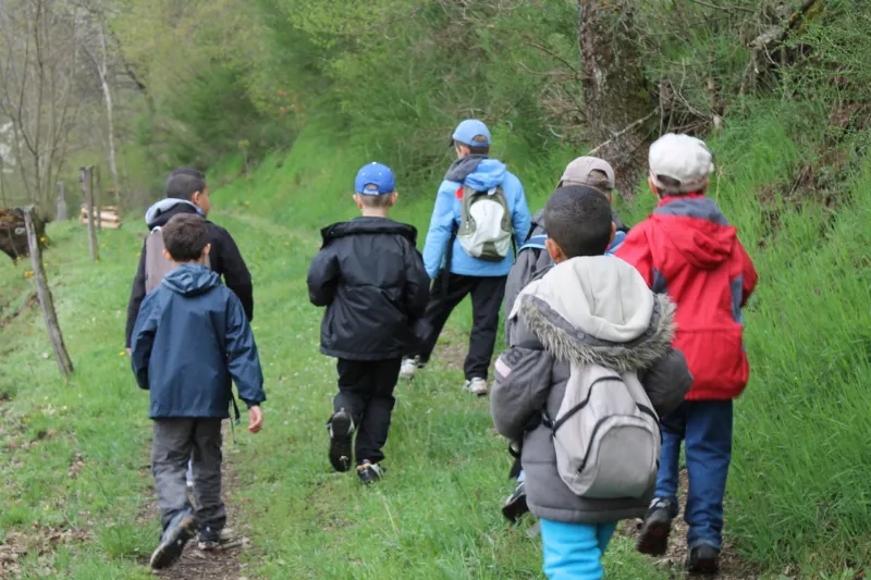Atelier : immersion au cœur de la forêt de Thann
