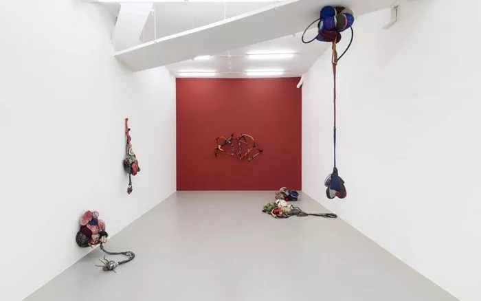 Cœur sauvage. Sonia Gomes