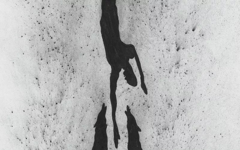 Entre deux vertiges, Gloria Friedmann