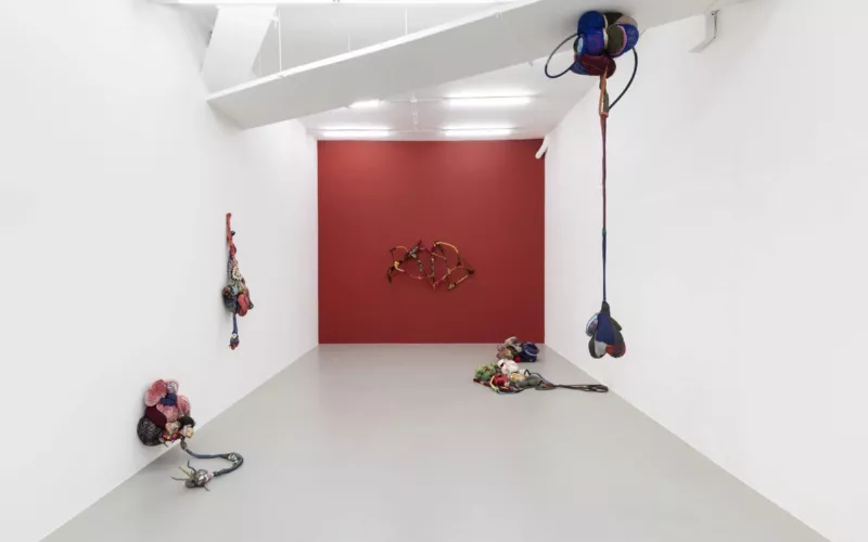 Cœur sauvage. Sonia Gomes