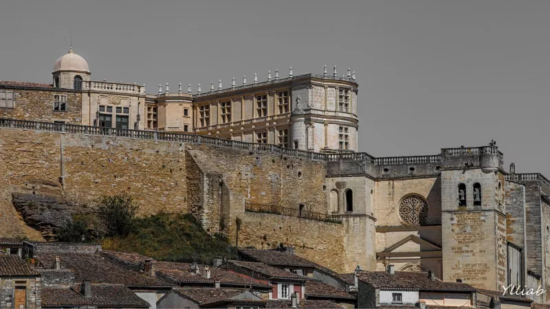 Château de Grignan (50069571827)
