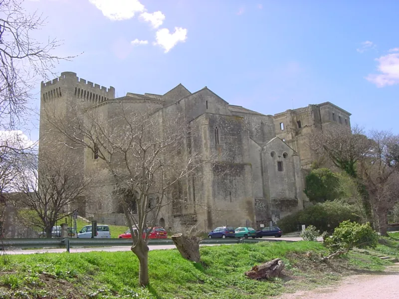 Montmajour-VueGénérale1