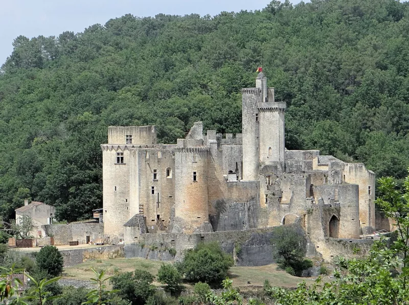 Saint-Front-sur-Lémance - Château de Bonaguil - Vue d'ensemble