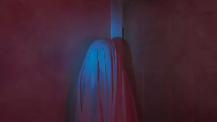 Affiche : Le Retour