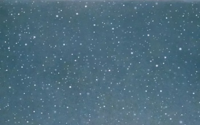 Contrepoint contemporain. Vija Celmins