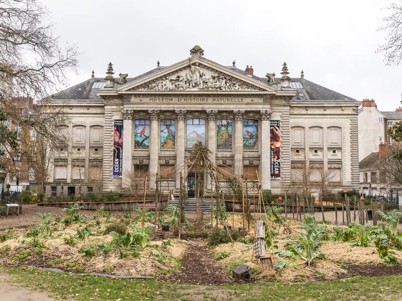 Place de la Monnaie
