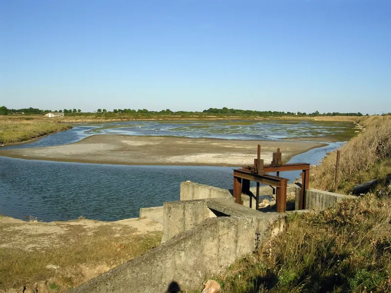 227 - Réserve naturelle du marais - Yves