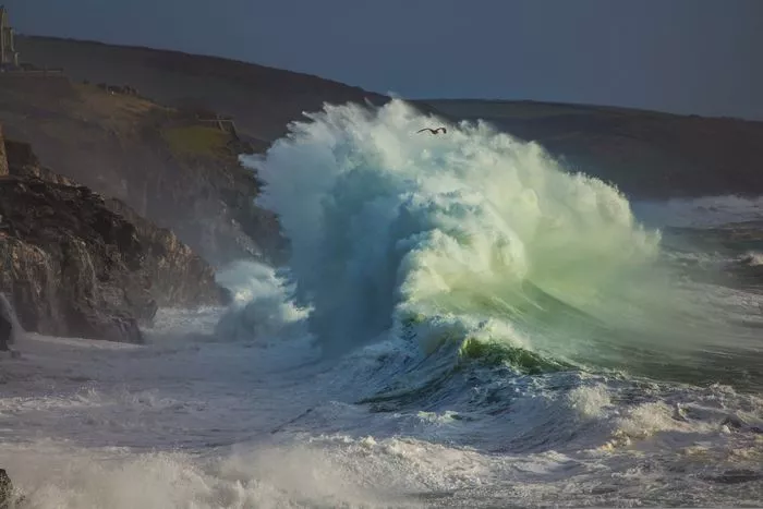 Conférence Les vagues scélérates : Quand les " monstres des mers " deviennent réalité