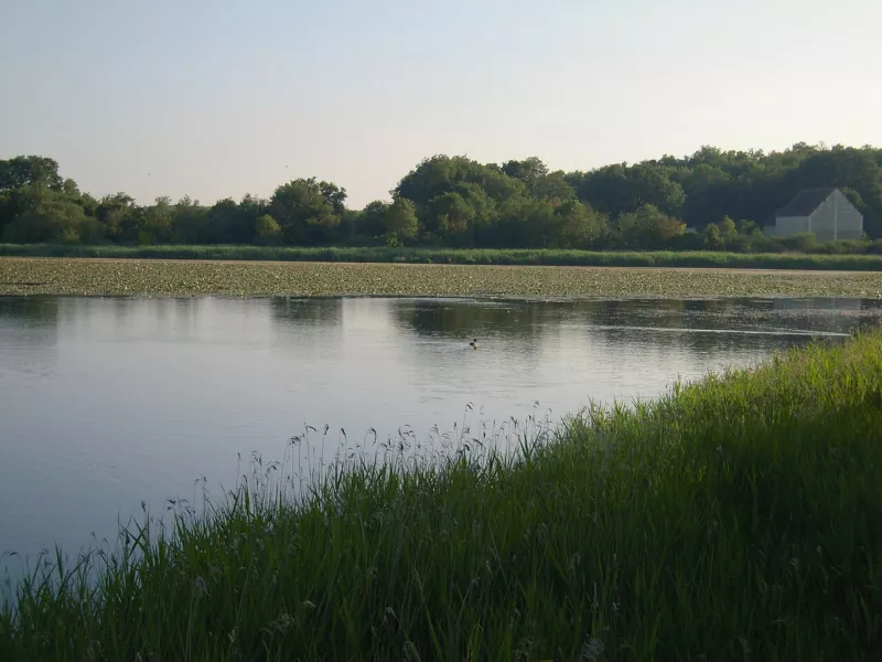 Brenne - Saint-Michel-en-Brenne (36) - Étang de la Sous et berges