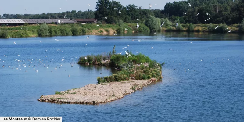 Plan d'eau des Monteaux