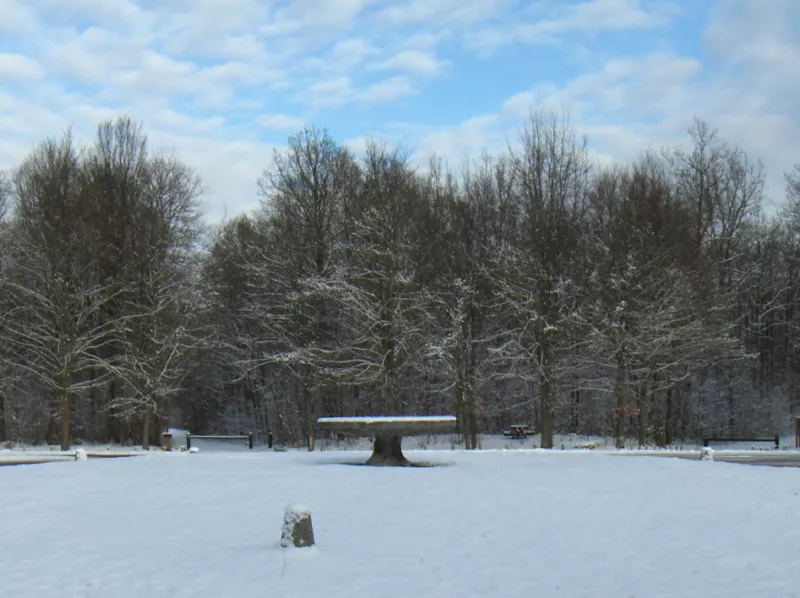 Forêt de Chantilly