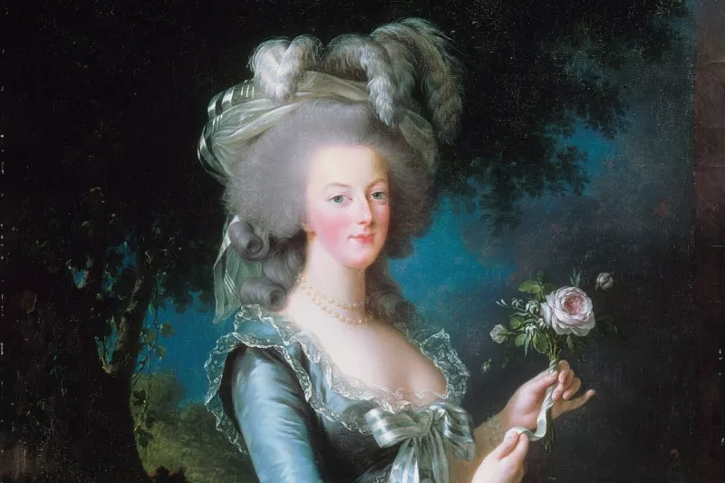 Louise Elisabeth Vigée-Lebrun - Marie-Antoinette dit « à la Rose » - Google Art Project