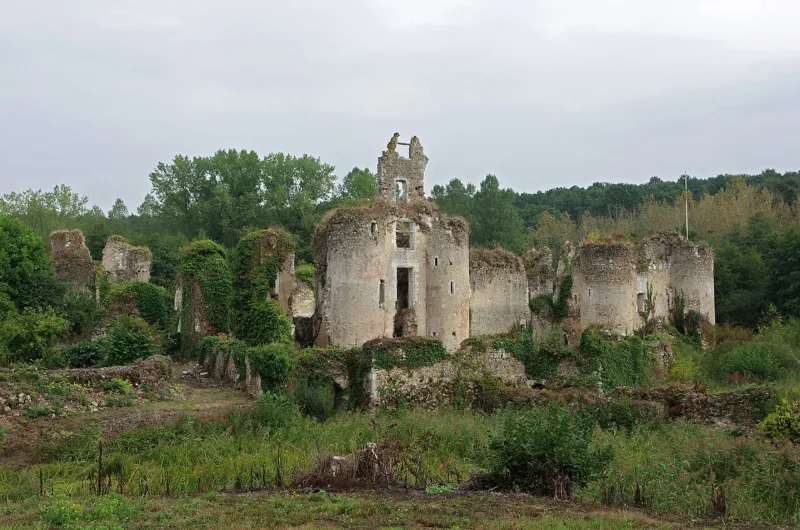 Château-Lavallière (Indre-et-Loire) (29229921923)