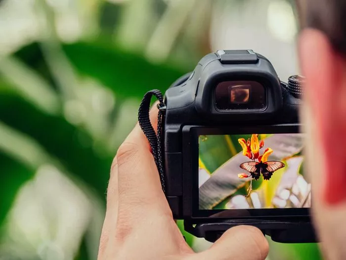 Un film en Stop-Motion