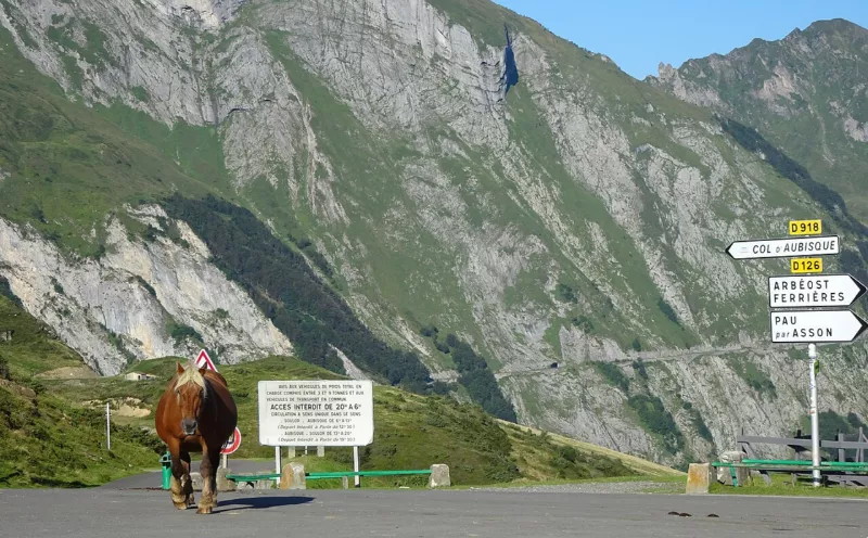 Aout 2018, Col du Soulor 01