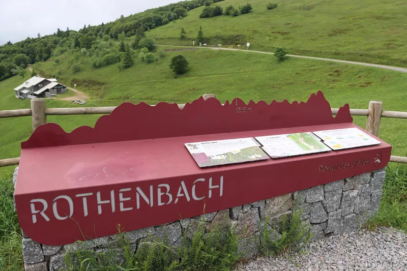 Réserve naturelle régionale des Chaumes du Rothenbach (Parc naturel régional des Ballons des Vosges) 04